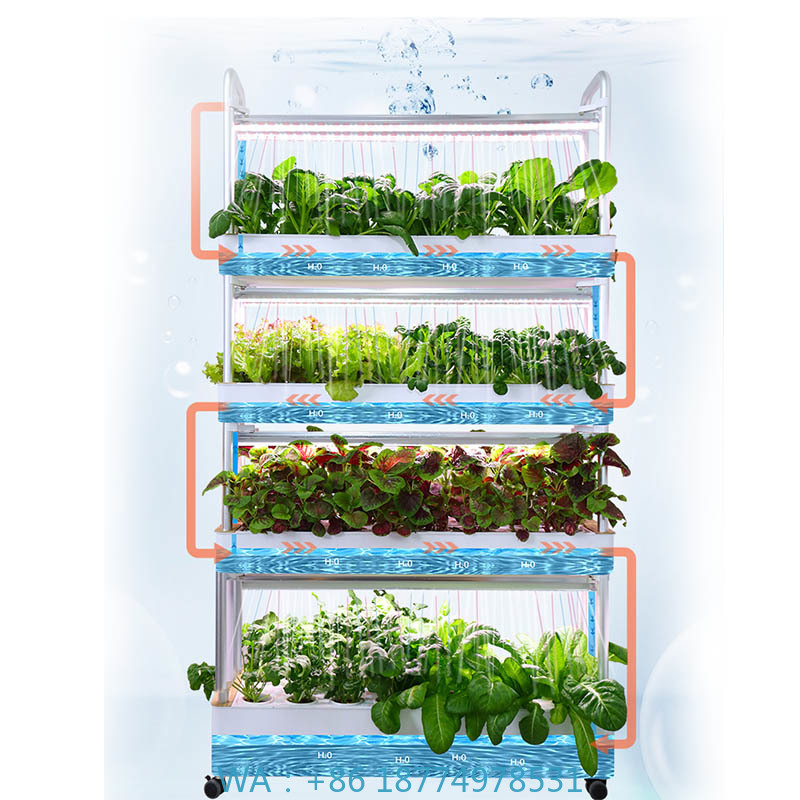 ydroponic Planting System Smar - Diy Automation avaliação e preço