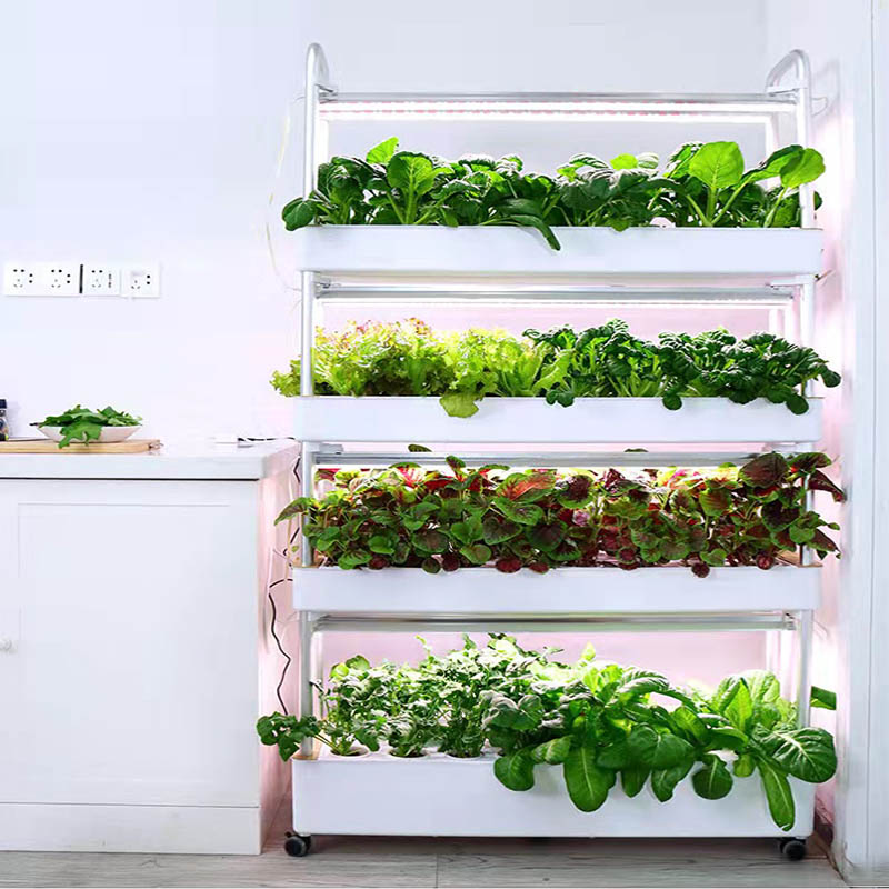 ydroponic Planting System Smar - Diy Automation avaliação e preço