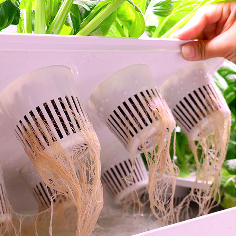 ydroponic Planting System Smar - Diy Automation avaliação e preço