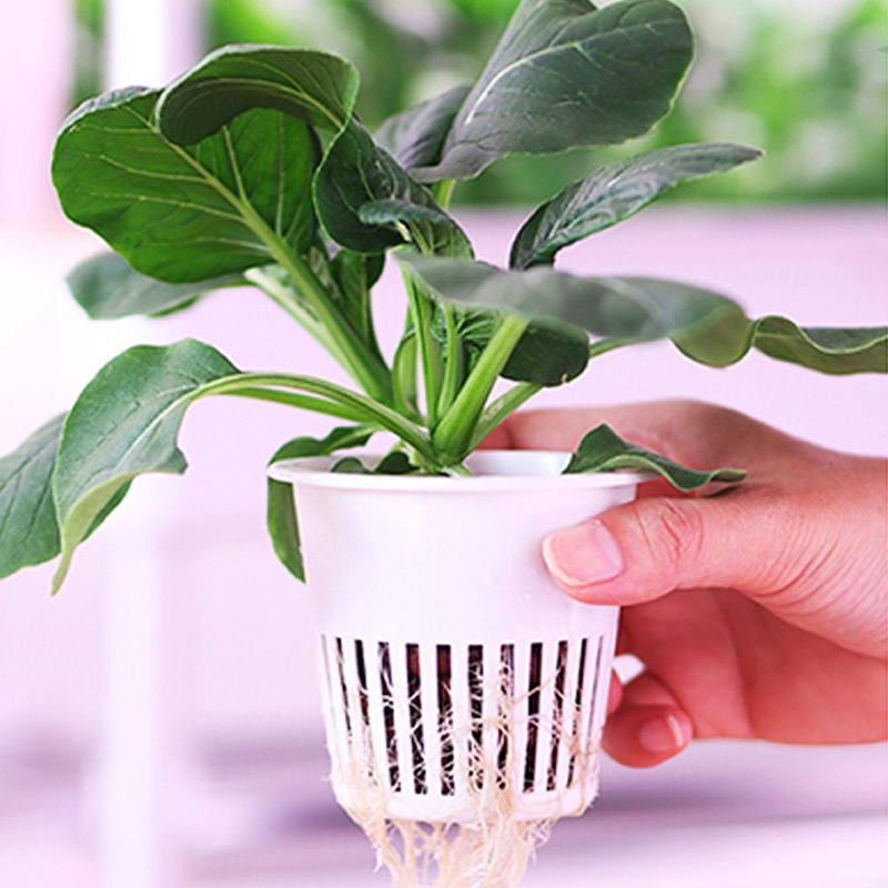 ydroponic Planting System Smar - Diy Automation avaliação e preço